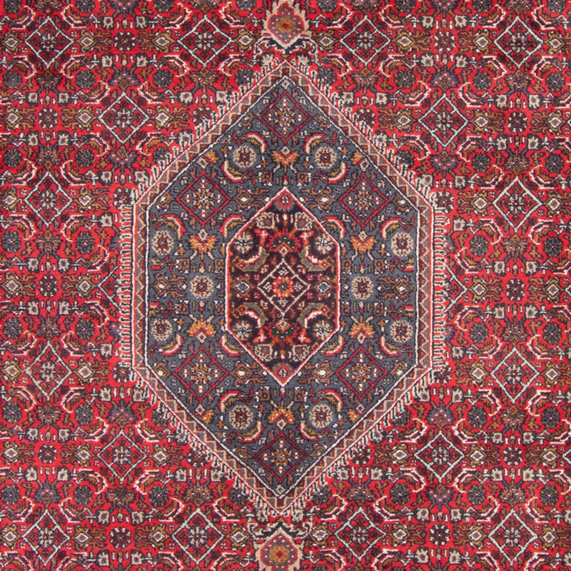 Orientalsk tæppe - Bijar - Indus - 338 x 251 cm - rød