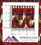 Løber Turkaman-tæppe - 100 x 50 cm - rød