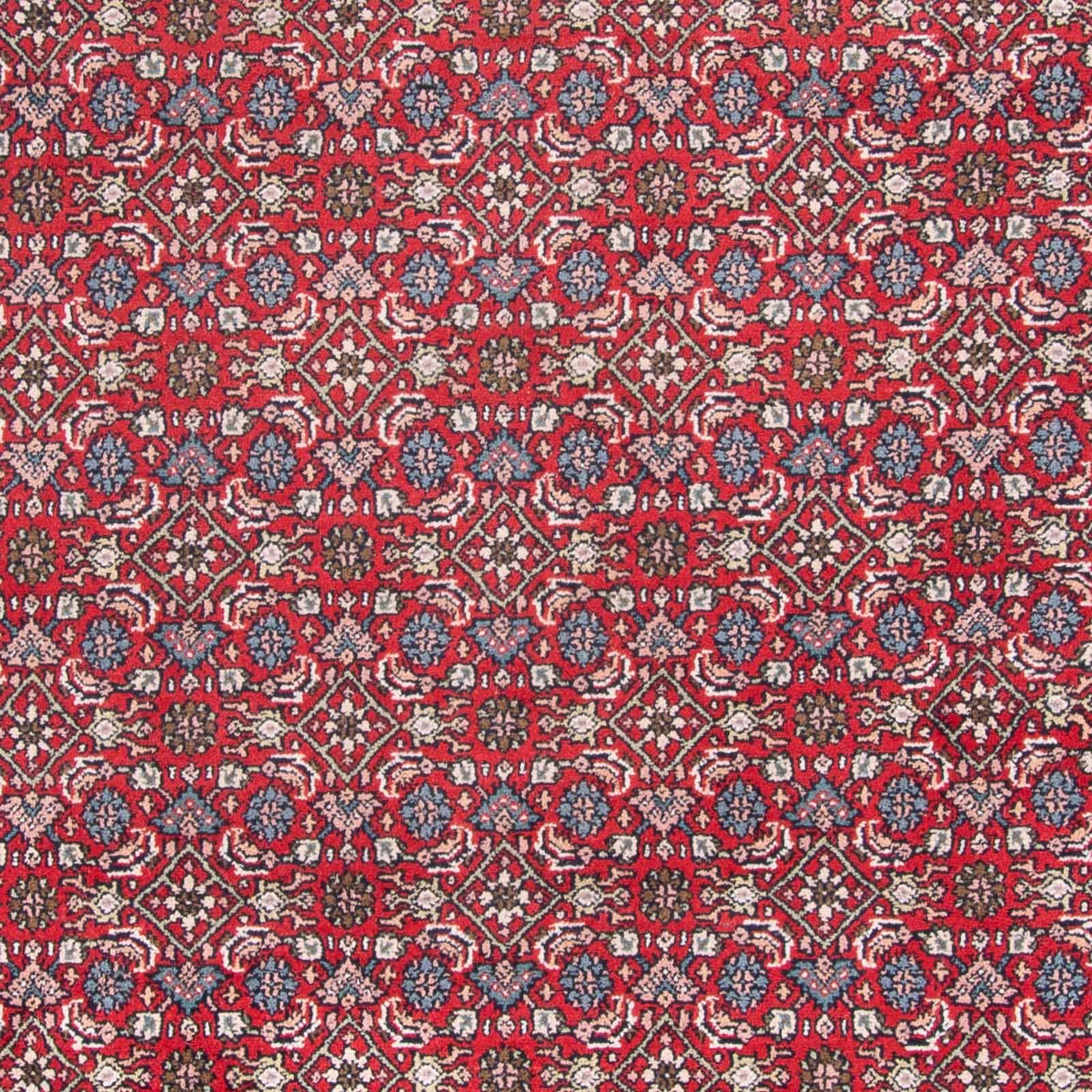 Orientalsk tæppe - Bijar - Indus - 353 x 253 cm - rød