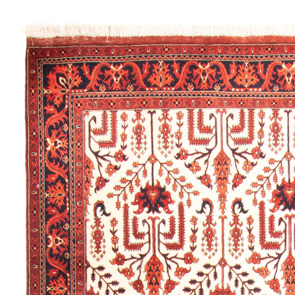 Afghansk tæppe - 270 x 186 cm - beige
