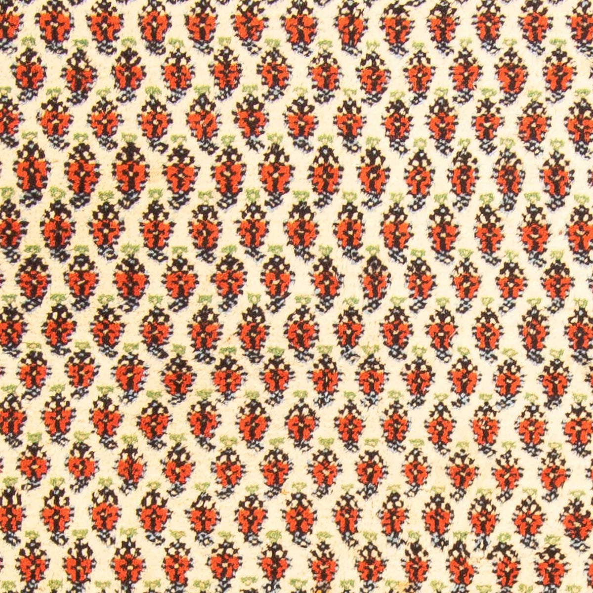 Orientalsk tæppe - Mir - Indus - 238 x 174 cm - beige