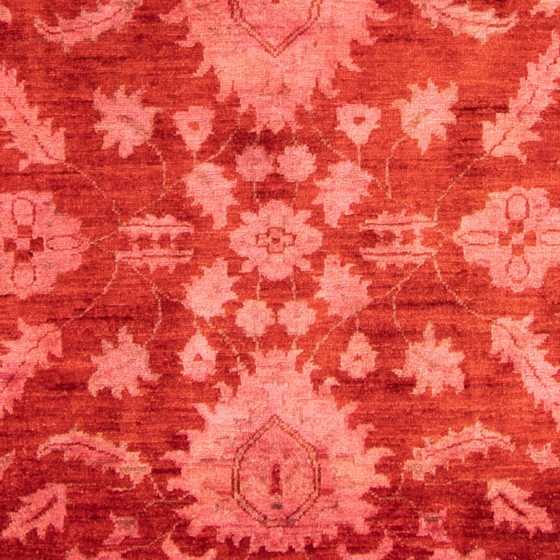 Ziegler Carpet - 330 x 240 cm - lysrød