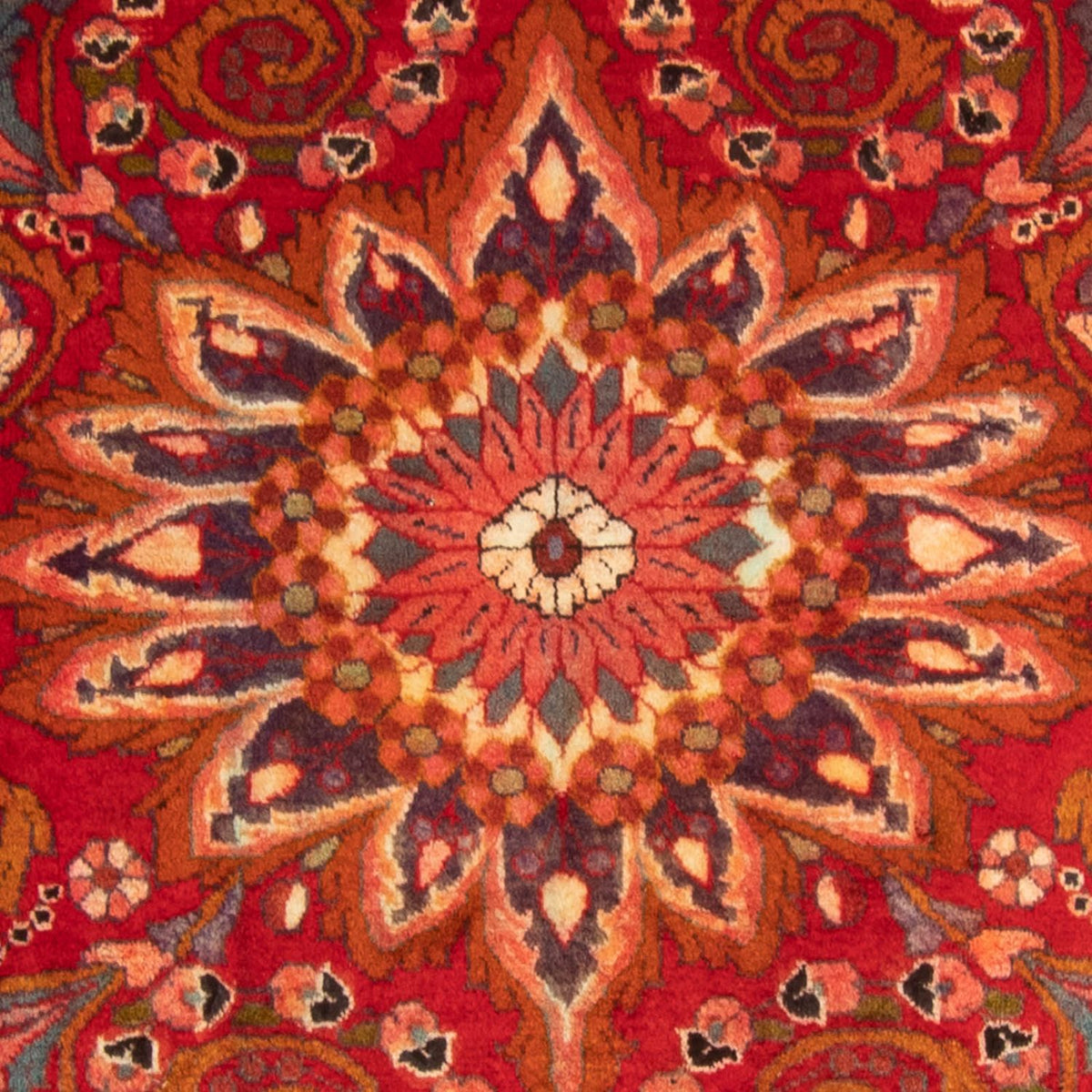 Persisk tæppe - Nomadisk - 460 x 326 cm - mørkerød