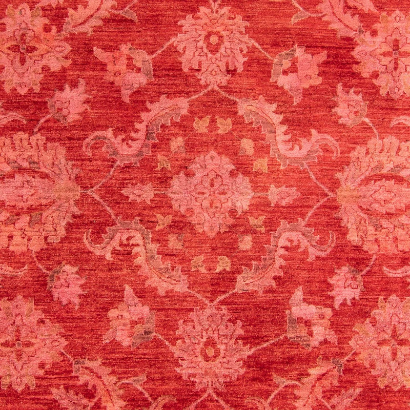 Ziegler Carpet - 350 x 222 cm - lysrød
