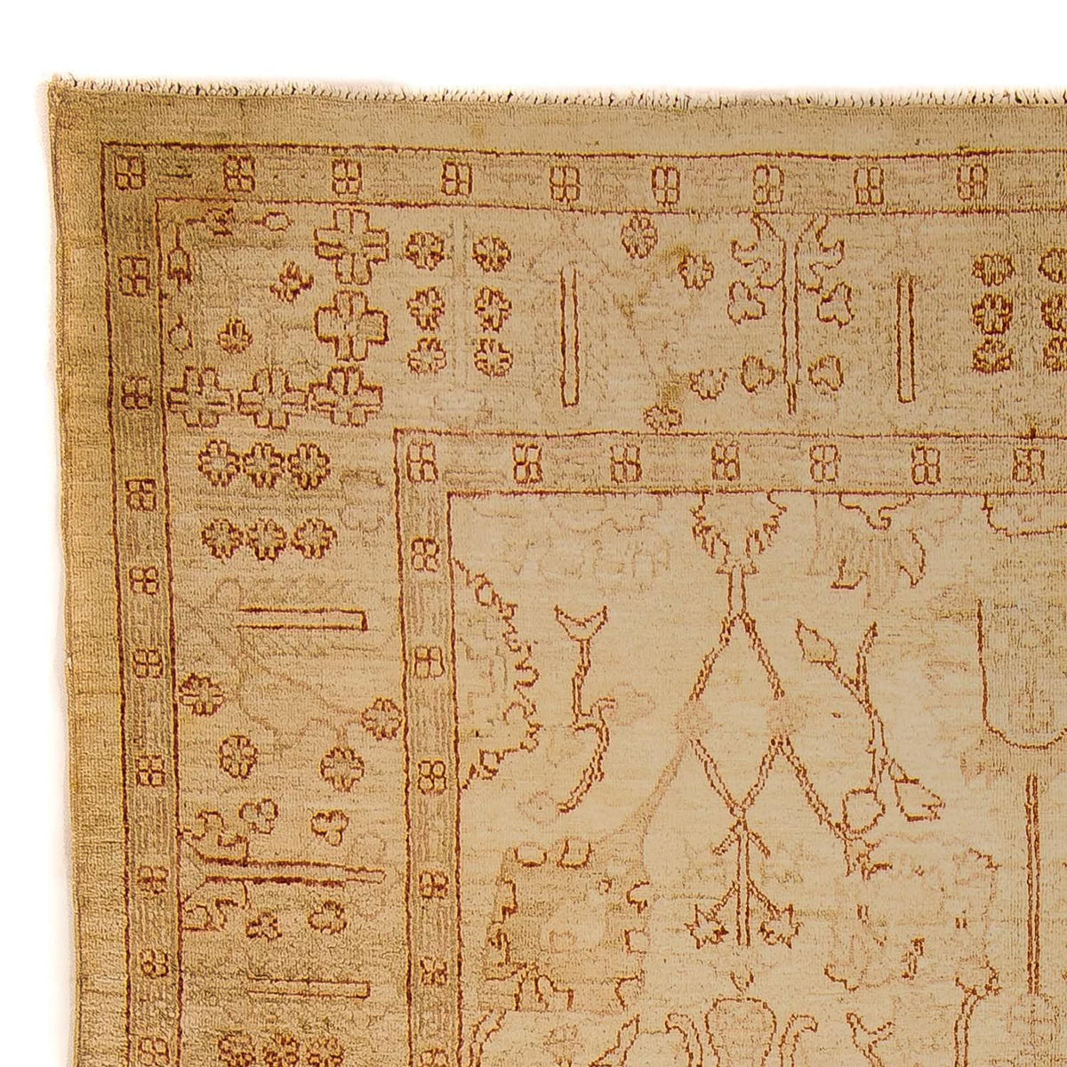 Ziegler Carpet - 247 x 173 cm - lys brun