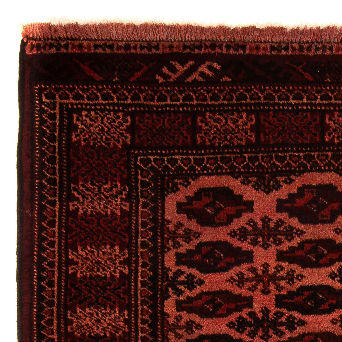 Afghansk tæppe - Bukhara - 150 x 103 cm - mørkerød