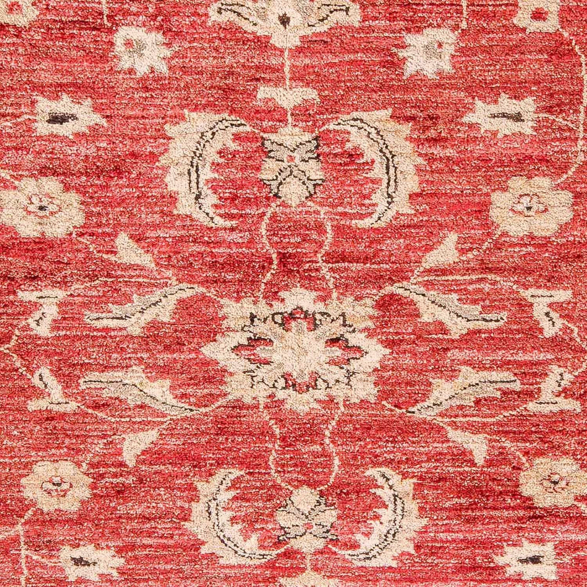 Ziegler Carpet - 327 x 239 cm - rød