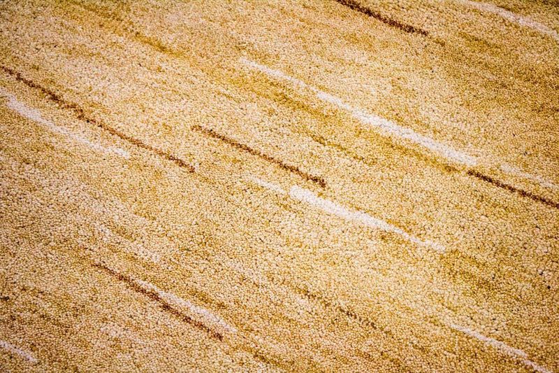 Gabbeh-tæppe - Indus - 242 x 150 cm - flerfarvet