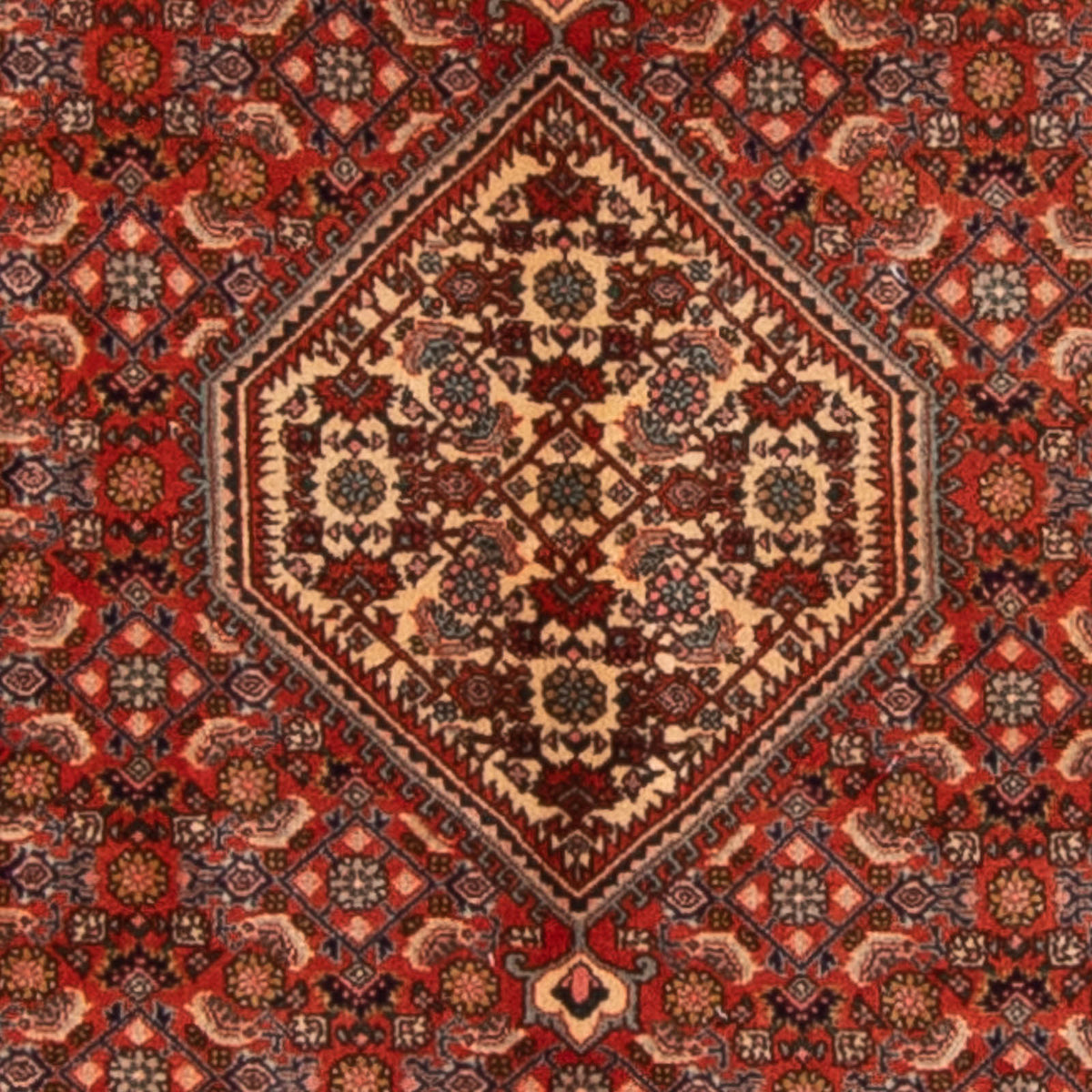Persisk tæppe - Bijar - 168 x 116 cm - rød