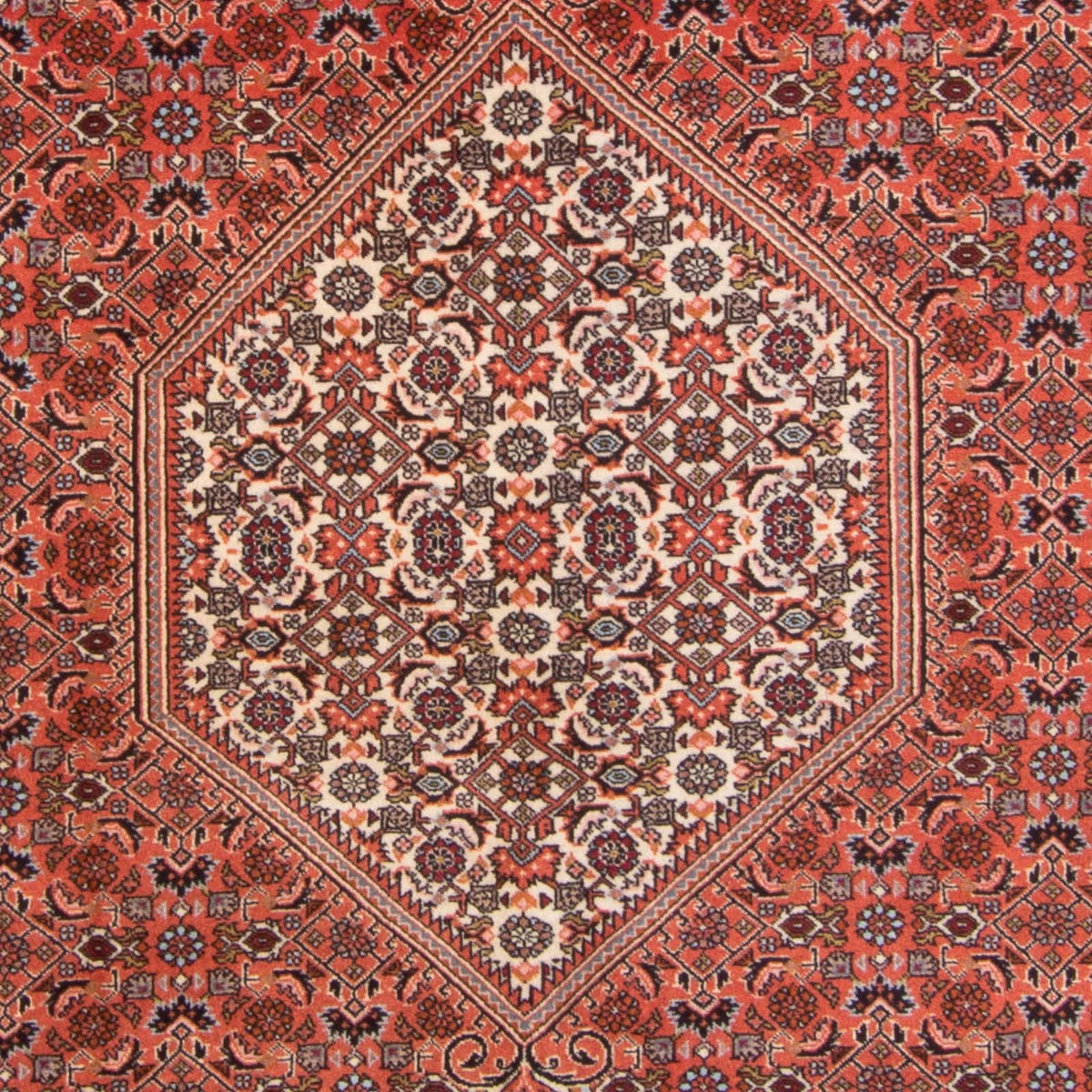 Persisk tæppe - Bijar - 295 x 195 cm - rød