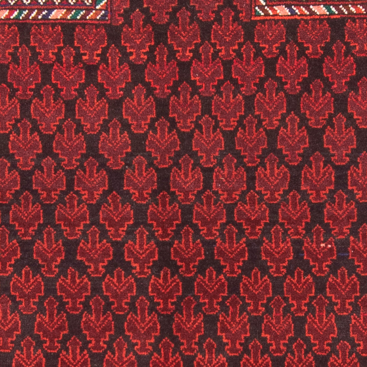 Baluch-tæppe - Bøn tæppe - 155 x 103 cm - rød