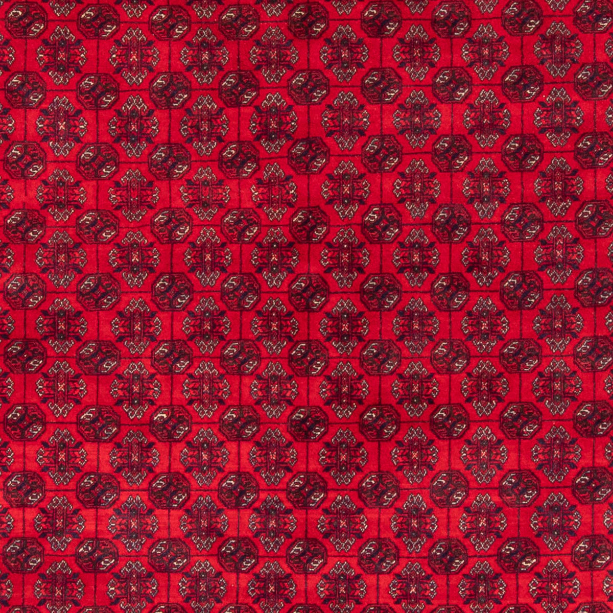 Afghansk tæppe - Bukhara - 290 x 196 cm - rød