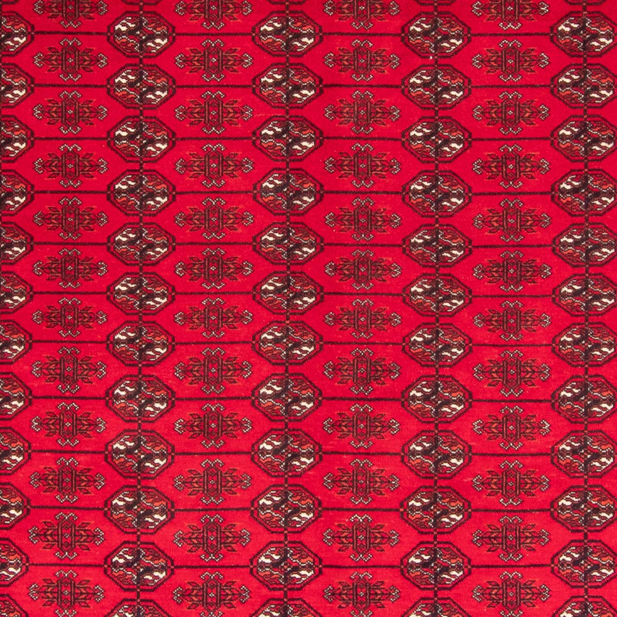 Afghansk tæppe - Bukhara - 282 x 200 cm - rød