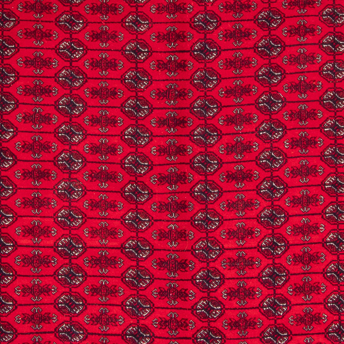 Afghansk tæppe - Bukhara - 292 x 200 cm - rød