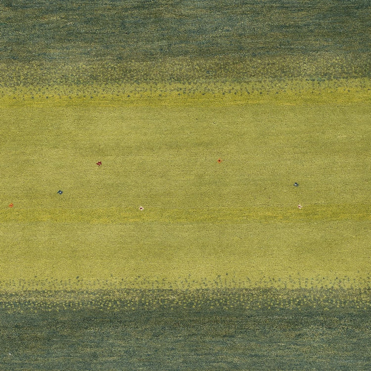 Gabbeh-tæppe - Loribaft Indus - 240 x 170 cm - grøn