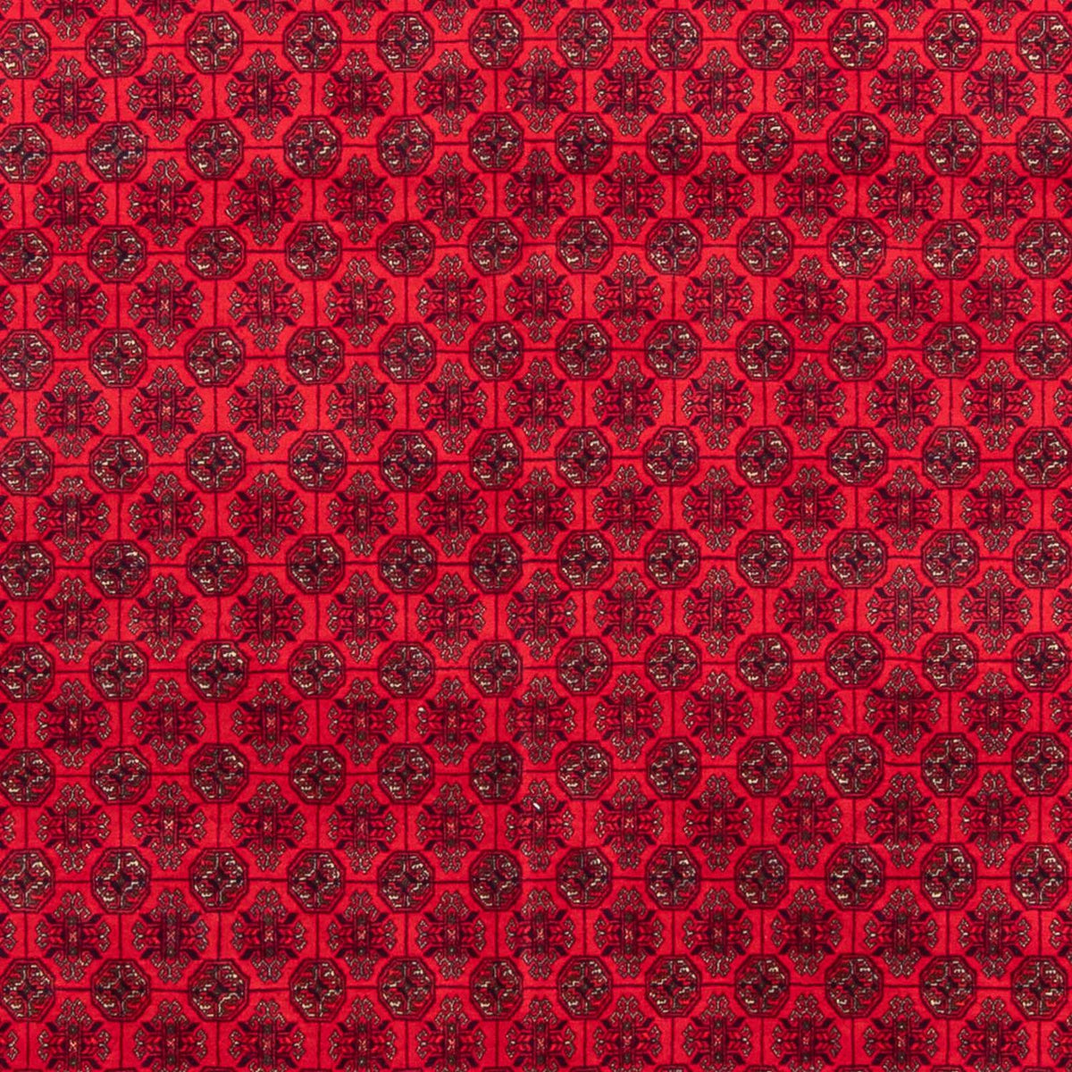 Afghansk tæppe - 295 x 194 cm - rød