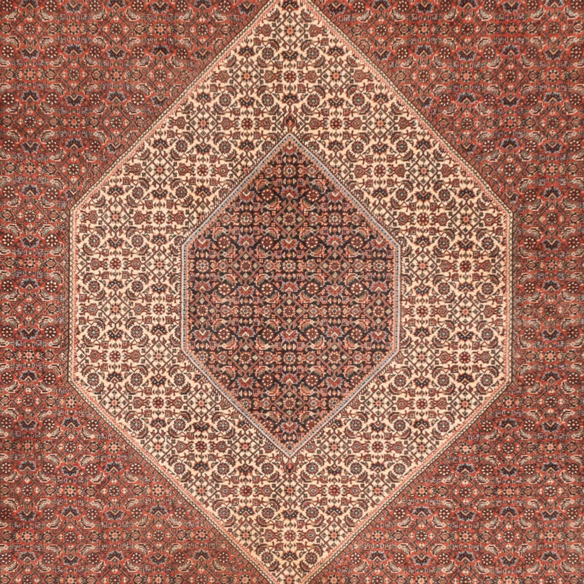 Persisk tæppe - Bijar - Royal - 300 x 255 cm - rust