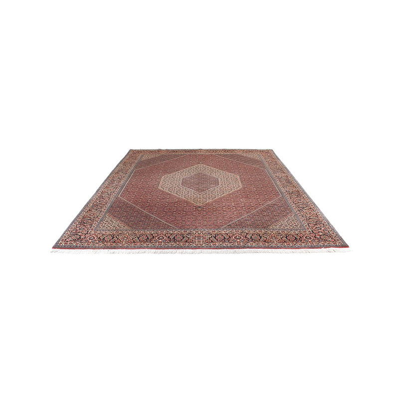 Persisk tæppe - Bijar - Royal - 300 x 255 cm - rust
