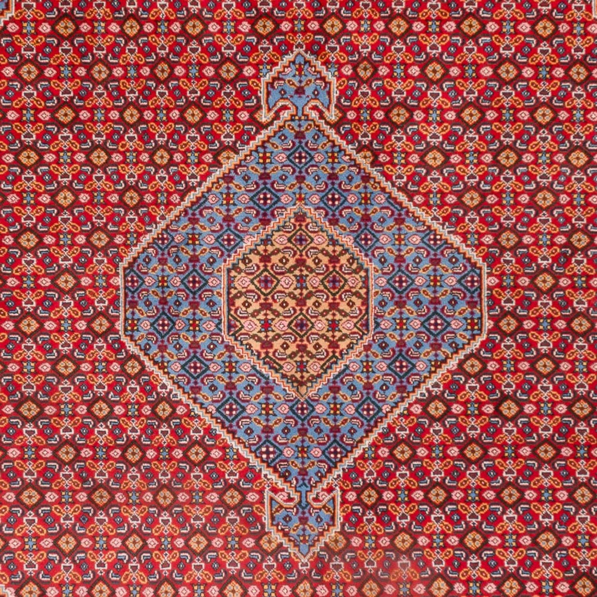 Persisk tæppe - Nomadisk - 300 x 205 cm - rød
