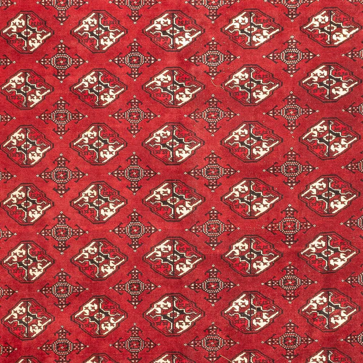 Turkaman-tæppe - 391 x 270 cm - rød