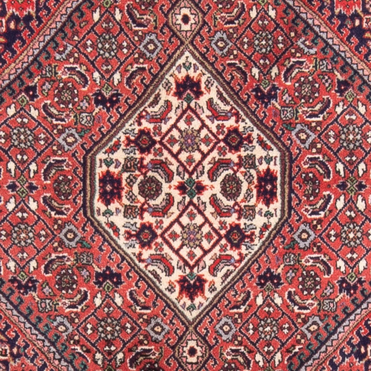 Persisk tæppe - Bijar - 105 x 75 cm - rød
