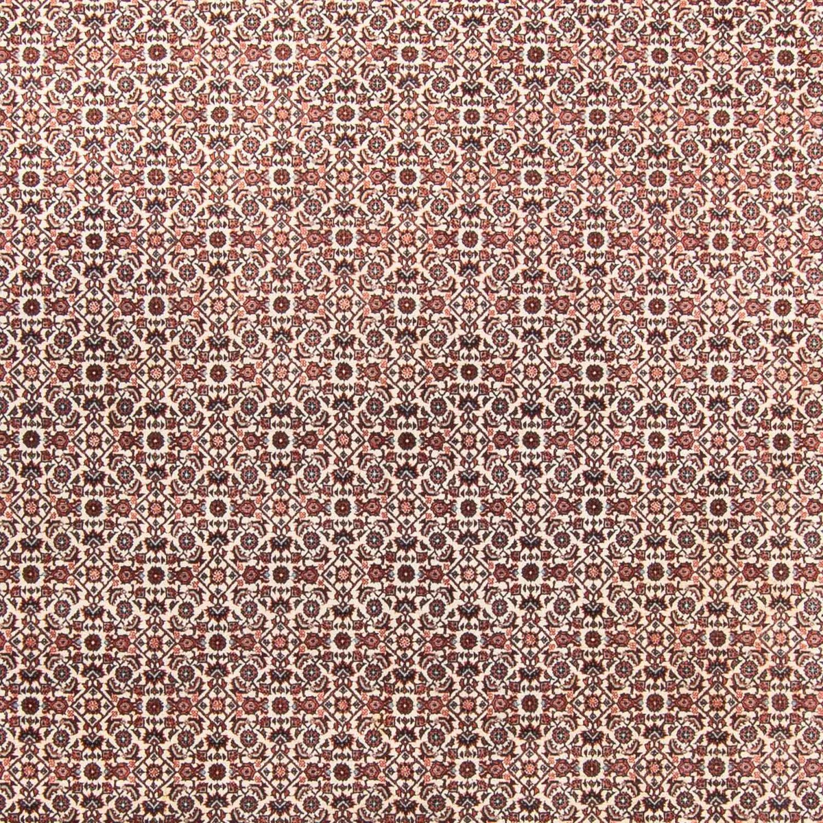 Persisk tæppe - Bijar - 340 x 250 cm - beige