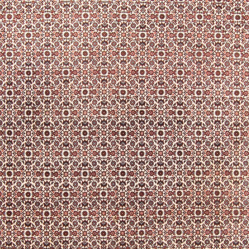 Persisk tæppe - Bijar - 340 x 250 cm - beige