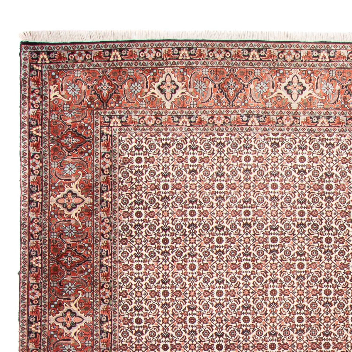 Persisk tæppe - Bijar - 340 x 250 cm - beige