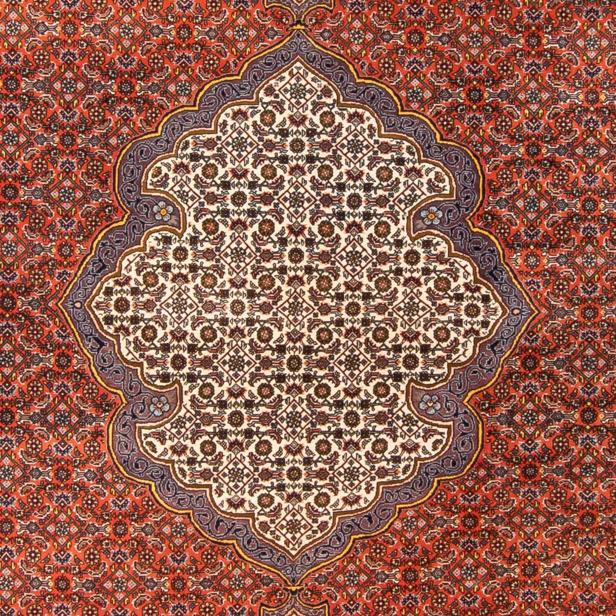 Persisk tæppe - Bijar - 312 x 205 cm - orange