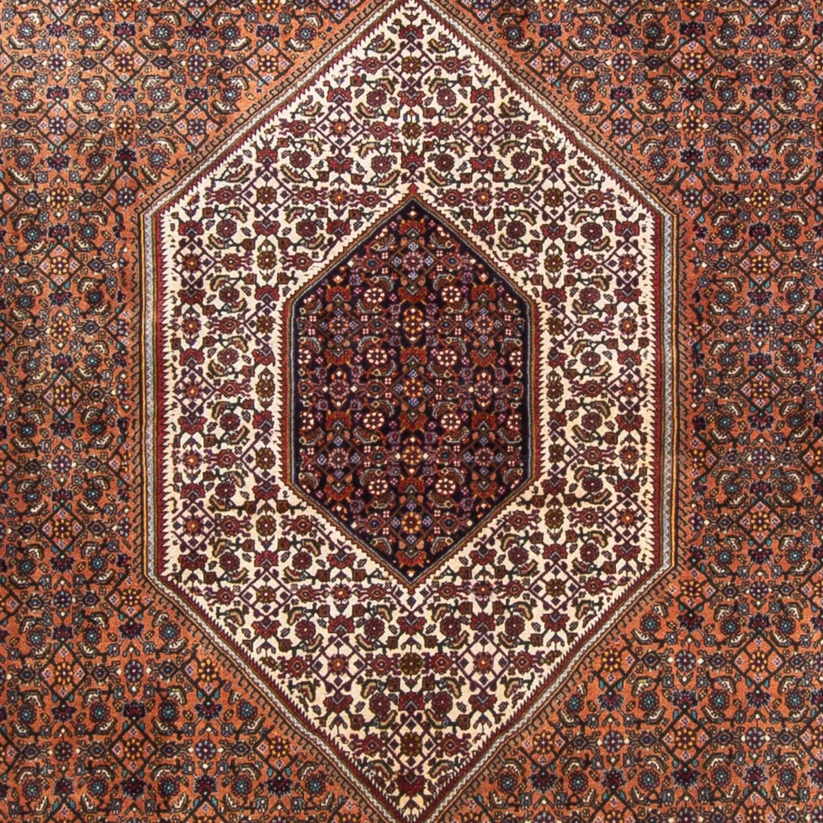 Persisk tæppe - Bijar - 305 x 210 cm - brun