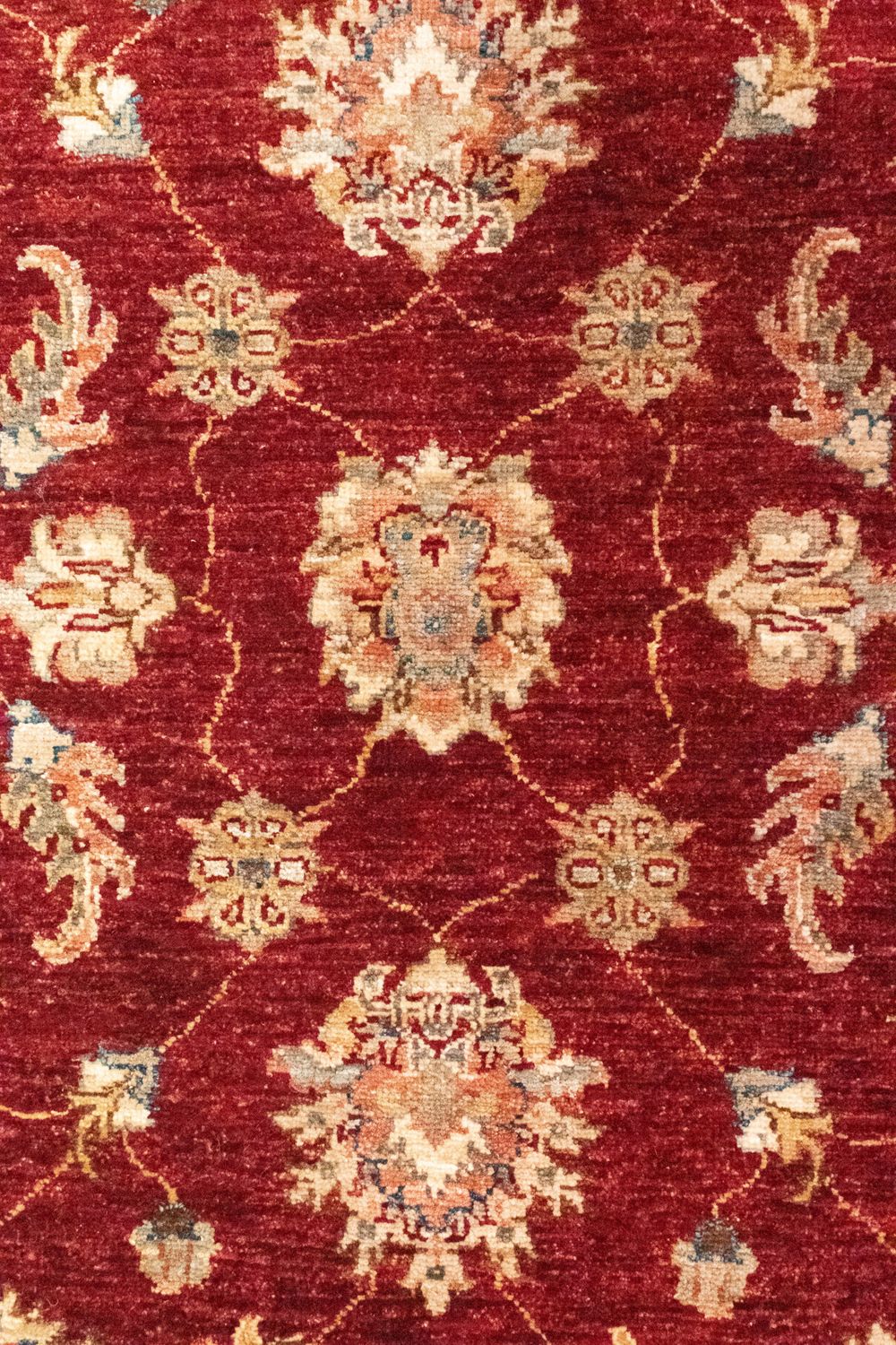 Løber Ziegler Carpet - 297 x 82 cm - rød