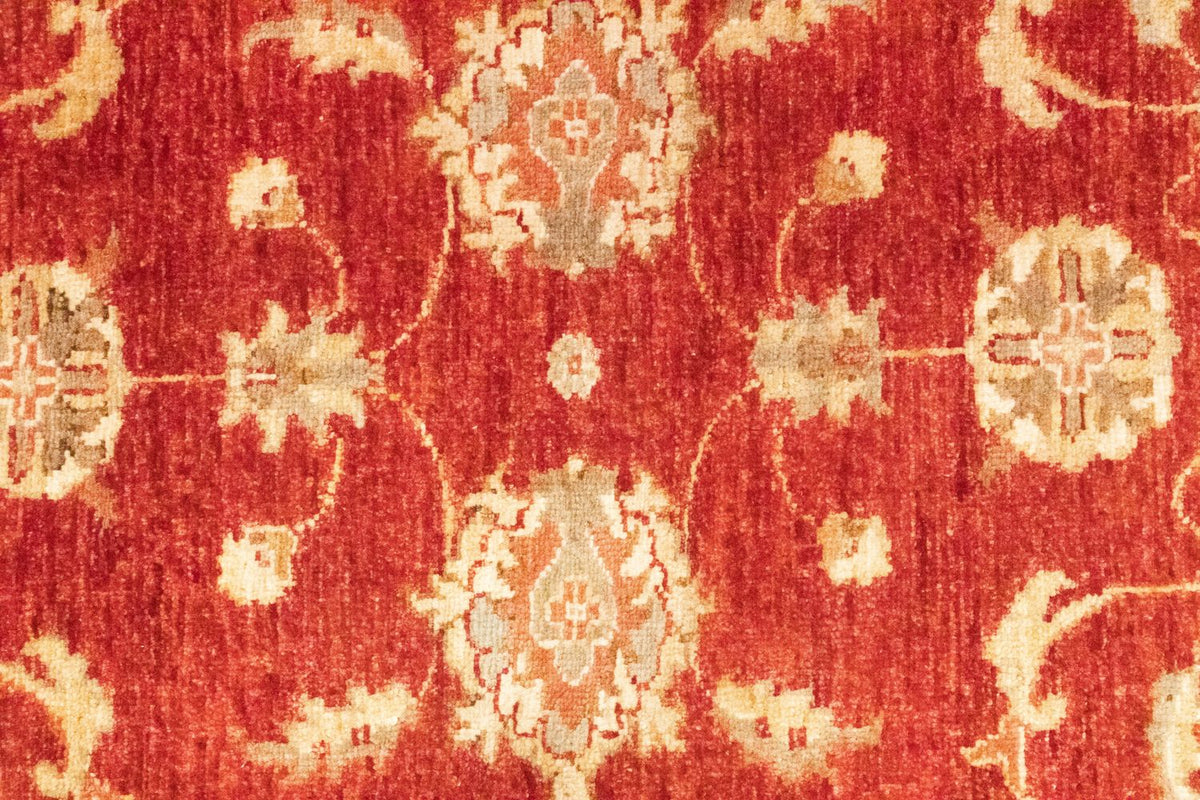 Løber Ziegler Carpet - 252 x 83 cm - rød