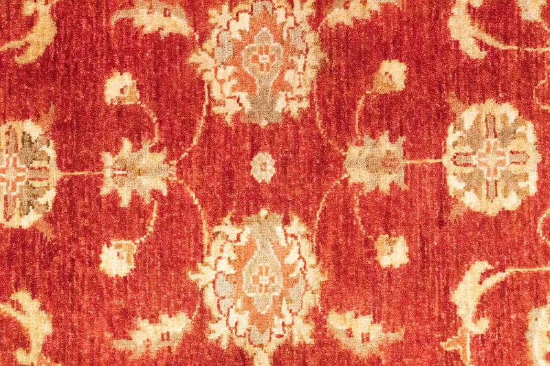 Løber Ziegler Carpet - 252 x 83 cm - rød
