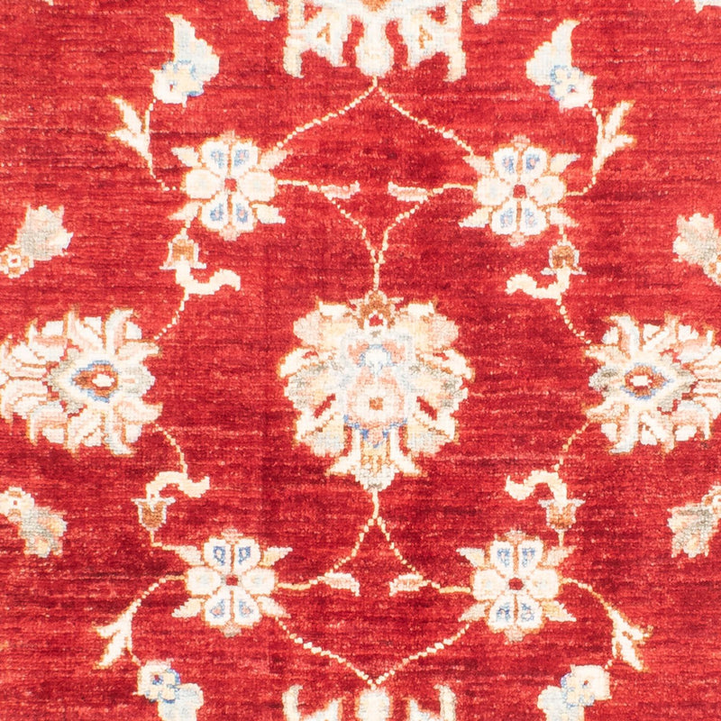 Ziegler Carpet - 155 x 105 cm - rød