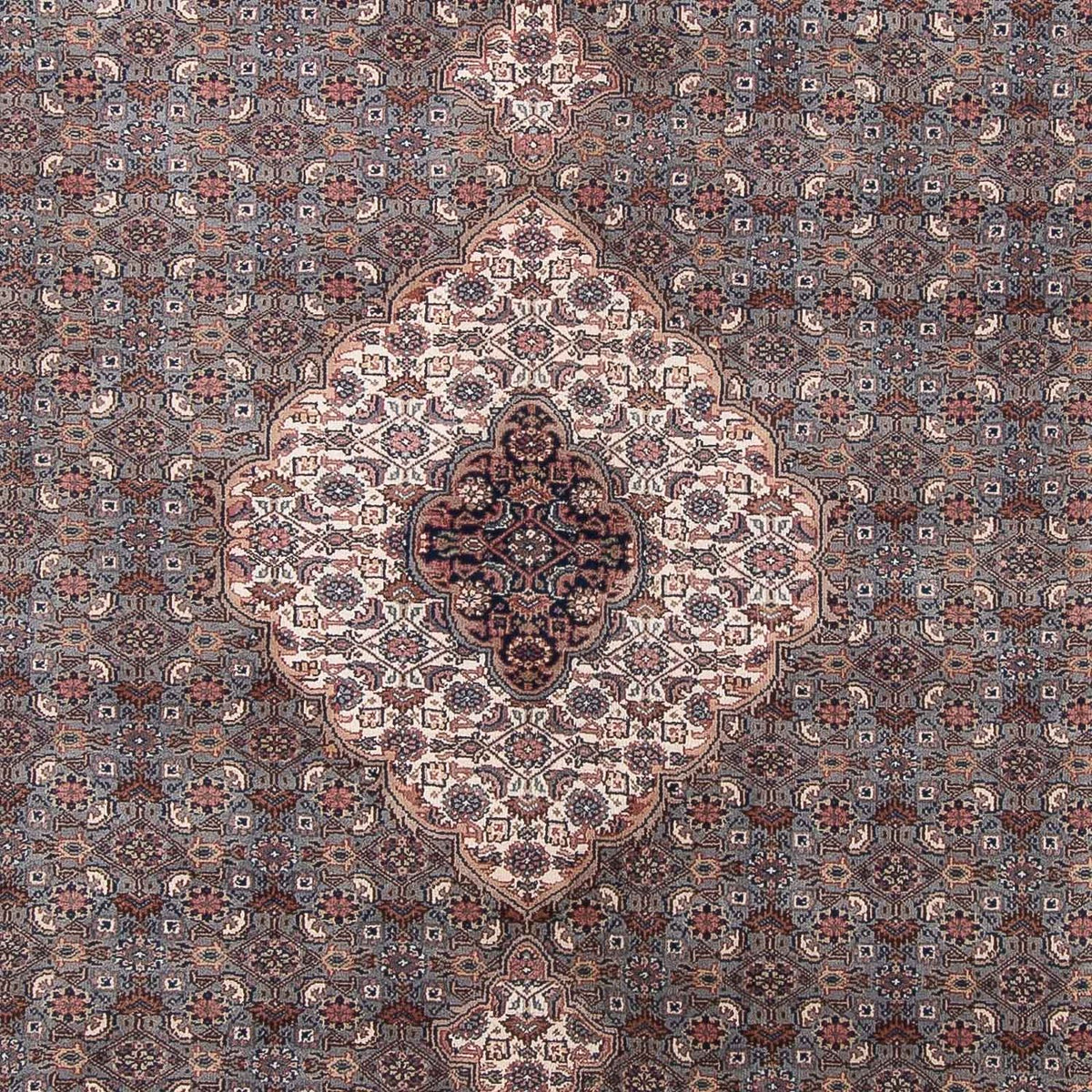 Orientalsk tæppe - Bijar - Indus - 349 x 246 cm - mørkegrå