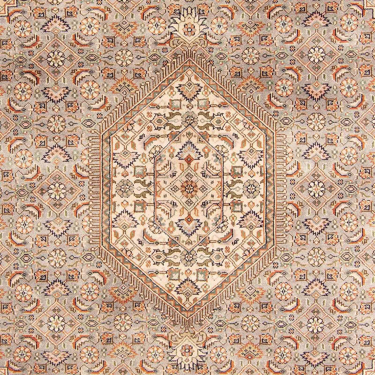 Orientalsk tæppe - Bijar - Indus - 242 x 169 cm - lys brun