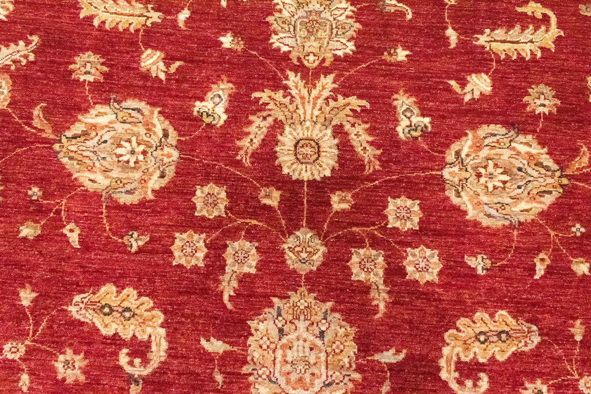 Ziegler Carpet - 296 x 210 cm - rød