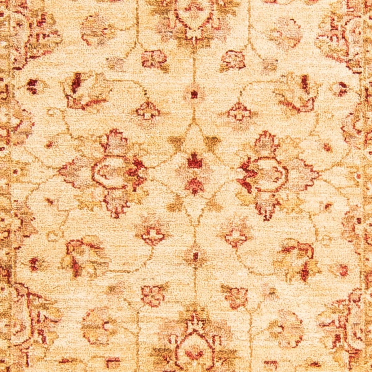 Løber Ziegler Carpet - 243 x 79 cm - beige