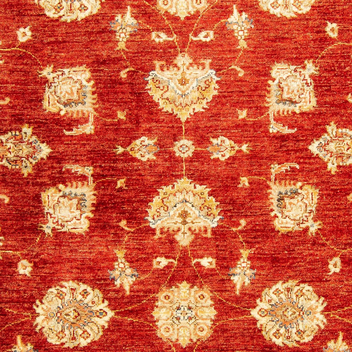 Ziegler Carpet - 207 x 152 cm - mørkerød