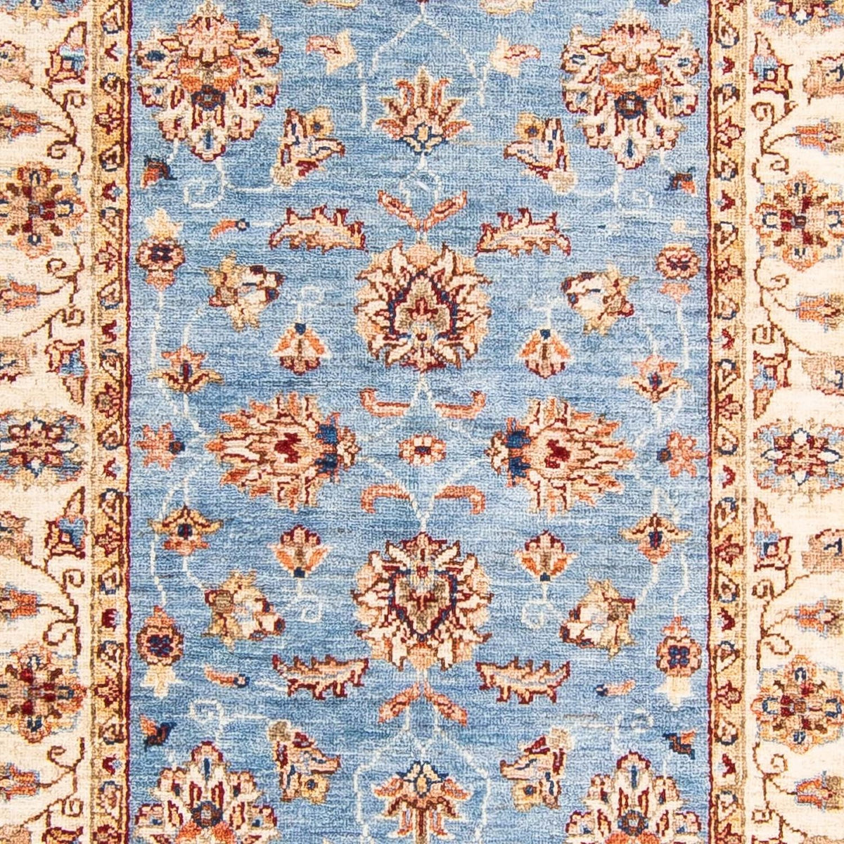 Løber Ziegler Carpet - 304 x 85 cm - lyseblå