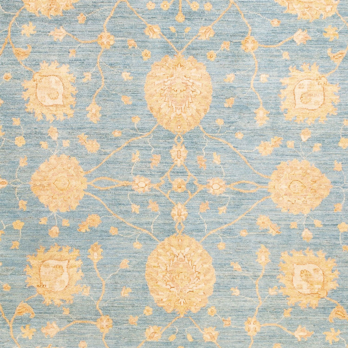 Ziegler Carpet - 343 x 248 cm - lyseblå