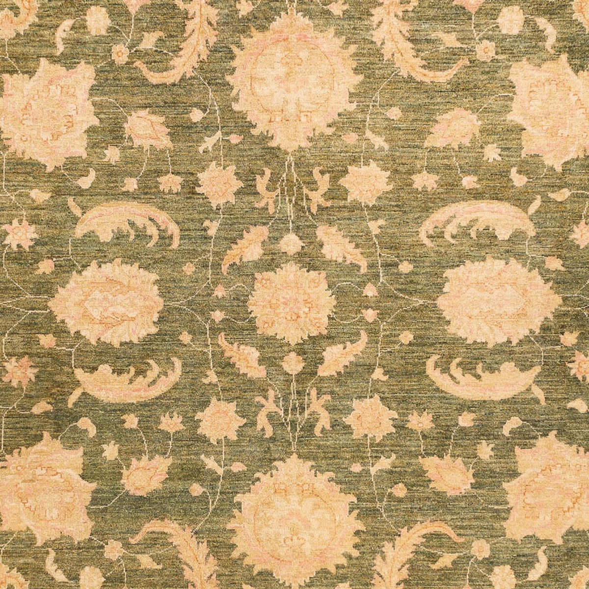 Ziegler Carpet - 342 x 249 cm - beige