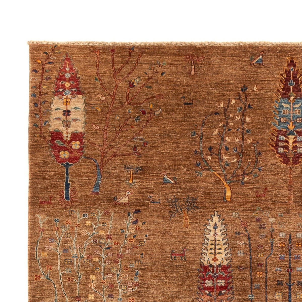 Ziegler Carpet - Ariana - 345 x 246 cm - brun