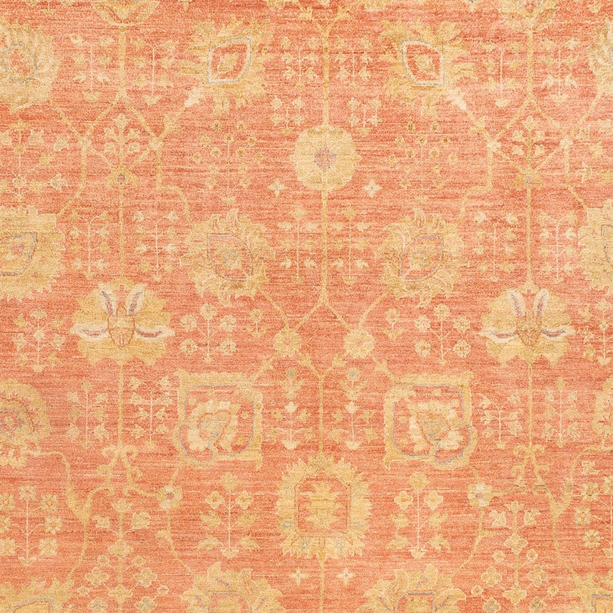 Ziegler Carpet - 341 x 251 cm - lysrød