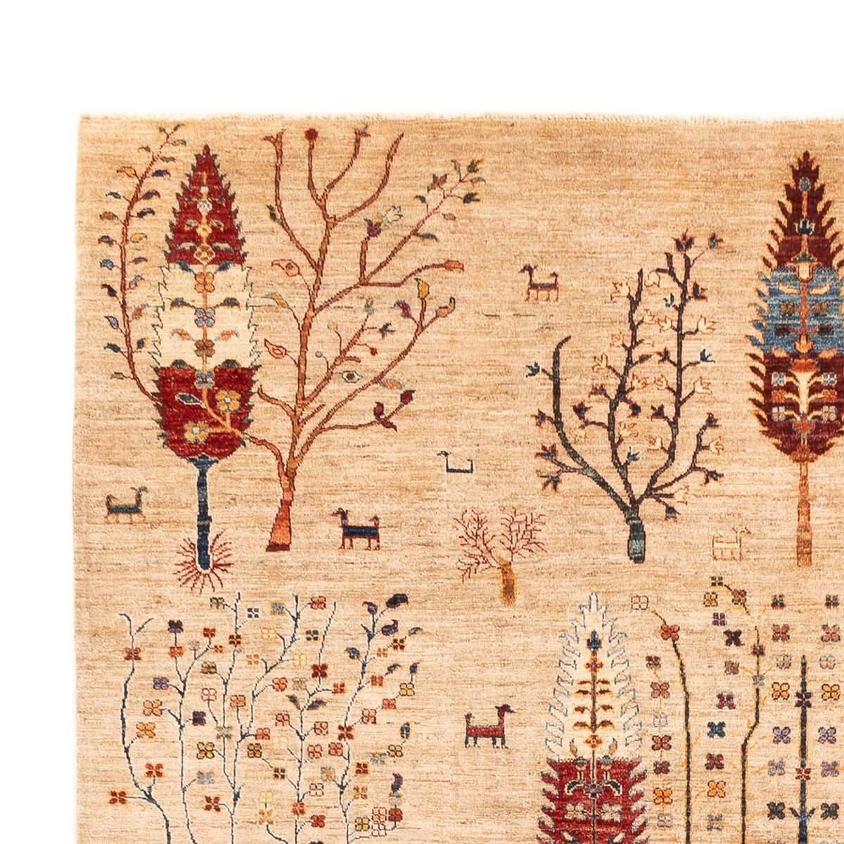 Ziegler Carpet - Ariana - 352 x 241 cm - beige