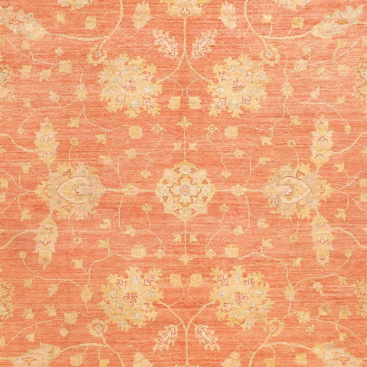 Ziegler Carpet - 342 x 256 cm - rød