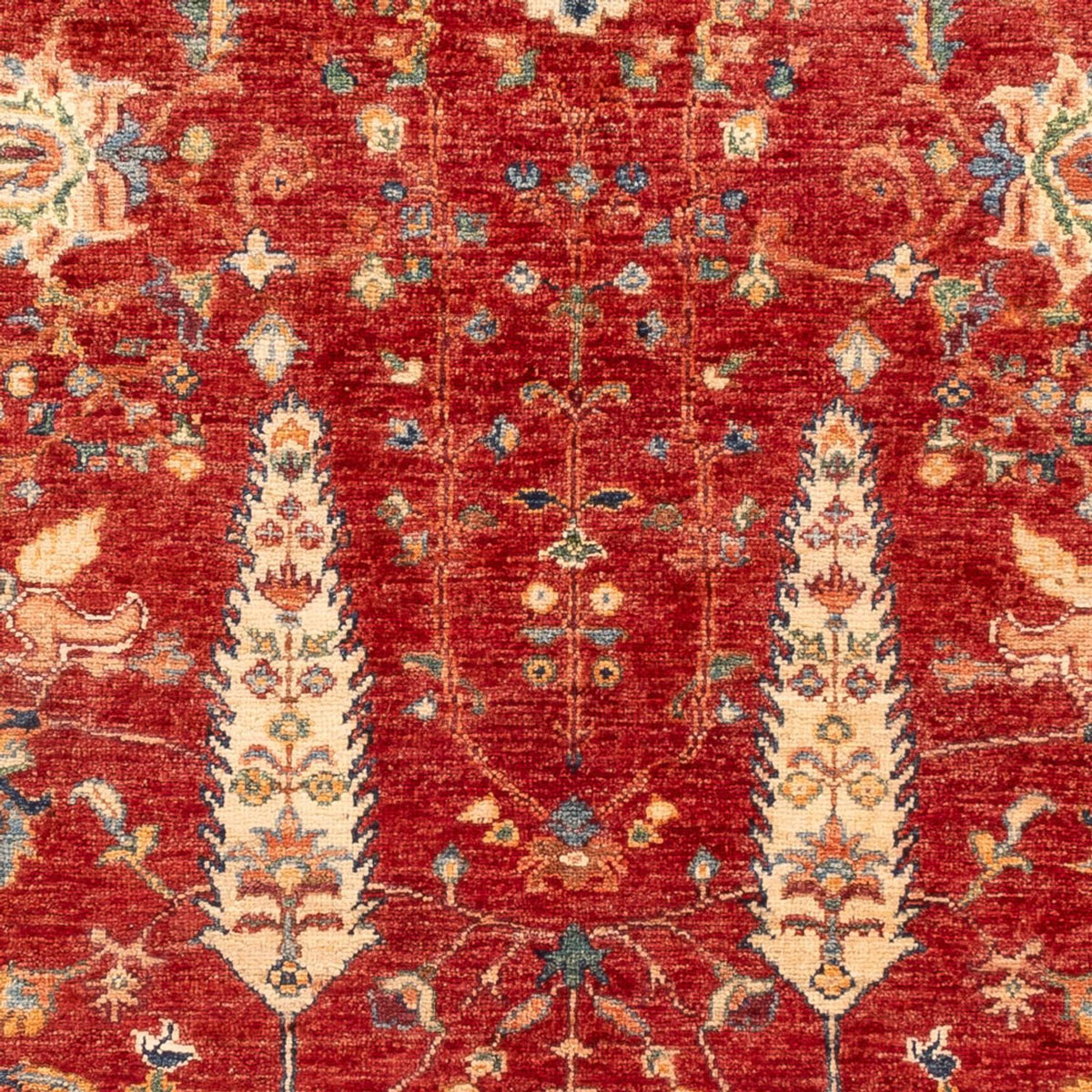 Ziegler Carpet - Ariana - 177 x 123 cm - rød