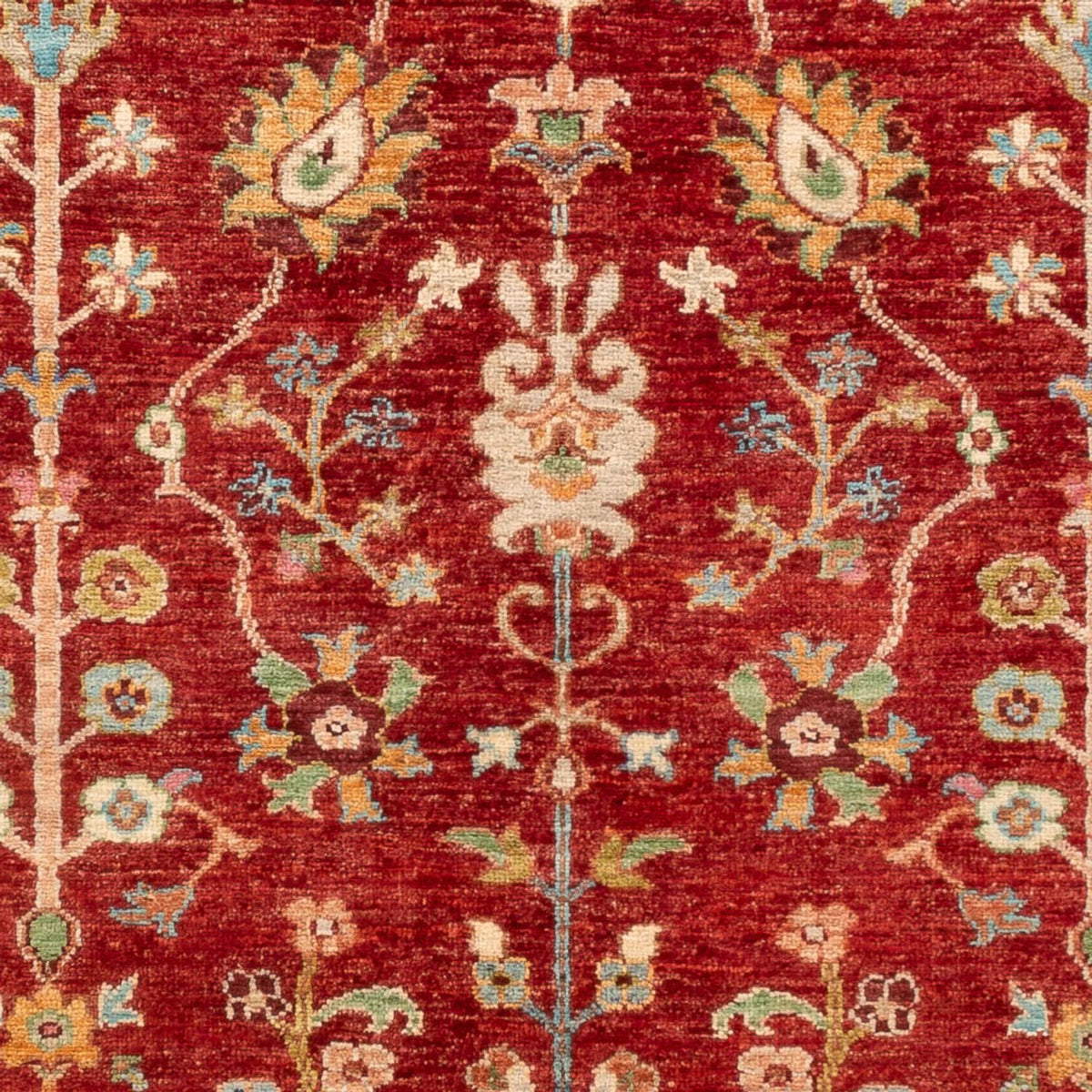 Ziegler Carpet - Ariana - 180 x 125 cm - rød