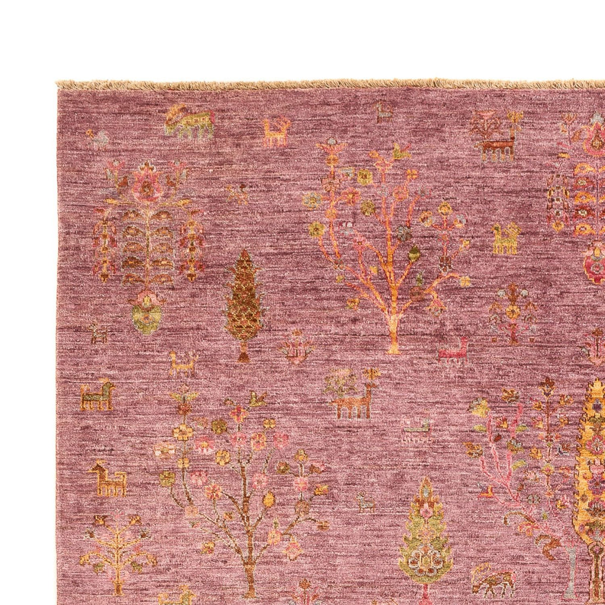 Ziegler Carpet - Ariana - 298 x 208 cm - lilla