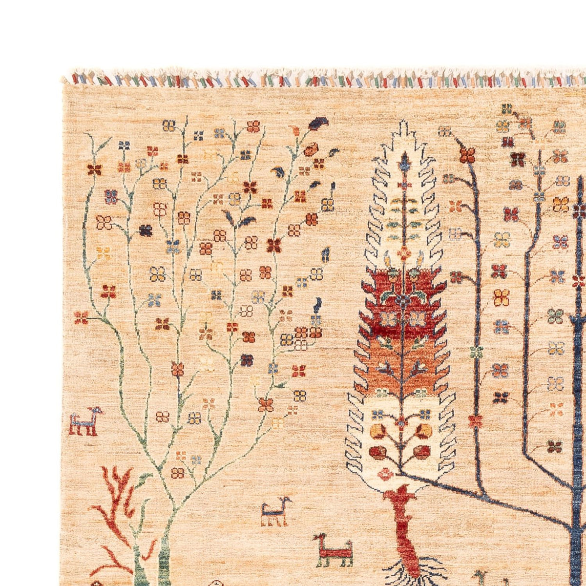 Ziegler Carpet - Ariana - 290 x 204 cm - lys beige